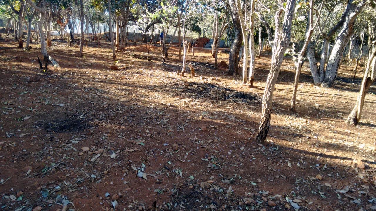 Sitio